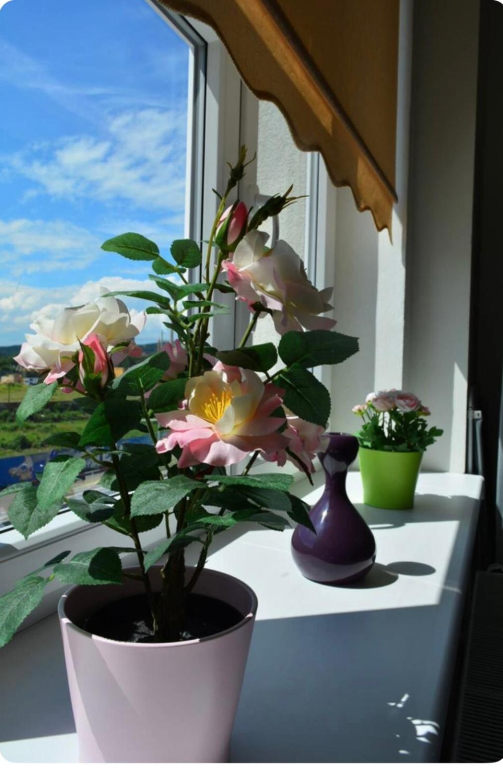 Mm Apartment Argentinska 布拉格 外观 照片